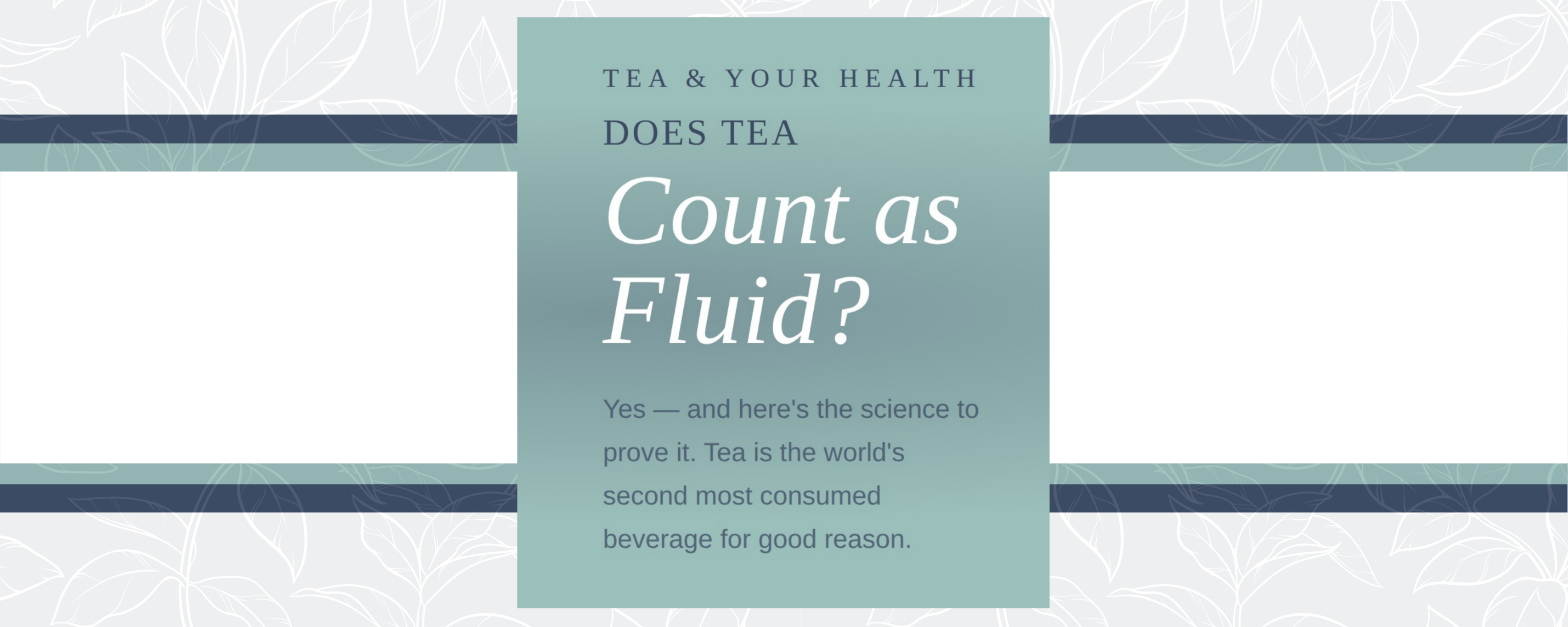 Does Tea Count Toward Your Daily Fluid Intake?